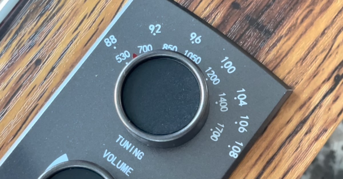 VOKSUN VK1688 Miglior piatto per vinili economico