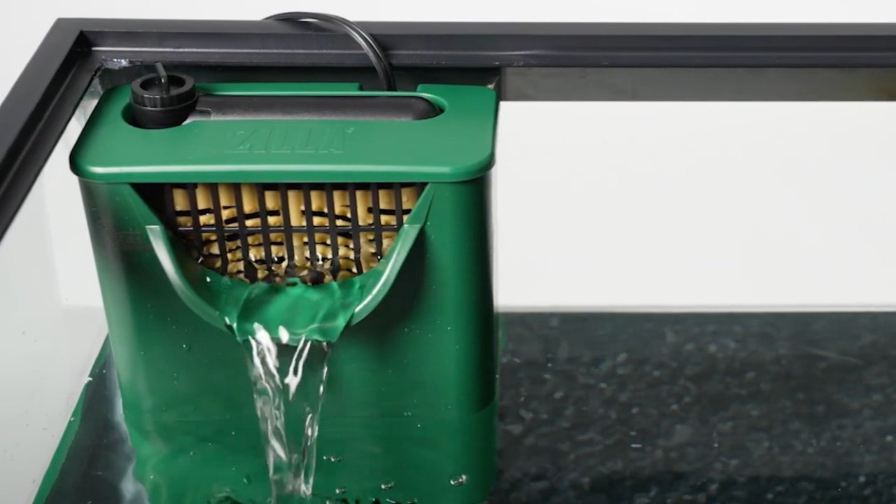 Zilla miglior filtro per acquario di tartarughe