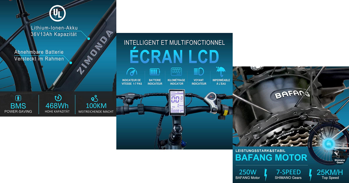 ZIMONDA migliore bicicletta elettrica per la consegna