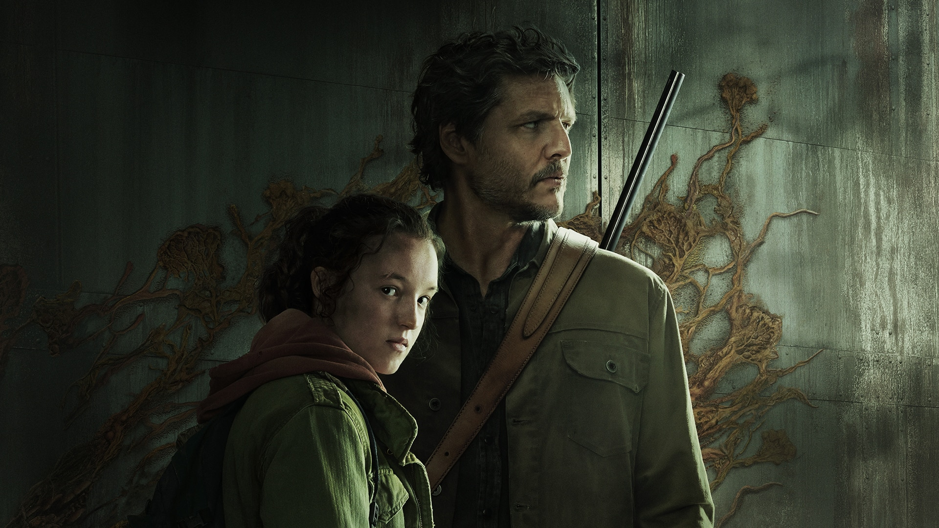 È ufficiale: Craig Mazin ha annunciato che la produzione della seconda stagione di "The Last of Us" inizierà presto. È ufficiale: Craig Mazin ha annunciato che la produzione della seconda stagione di "The Last of Us" inizierà presto.
