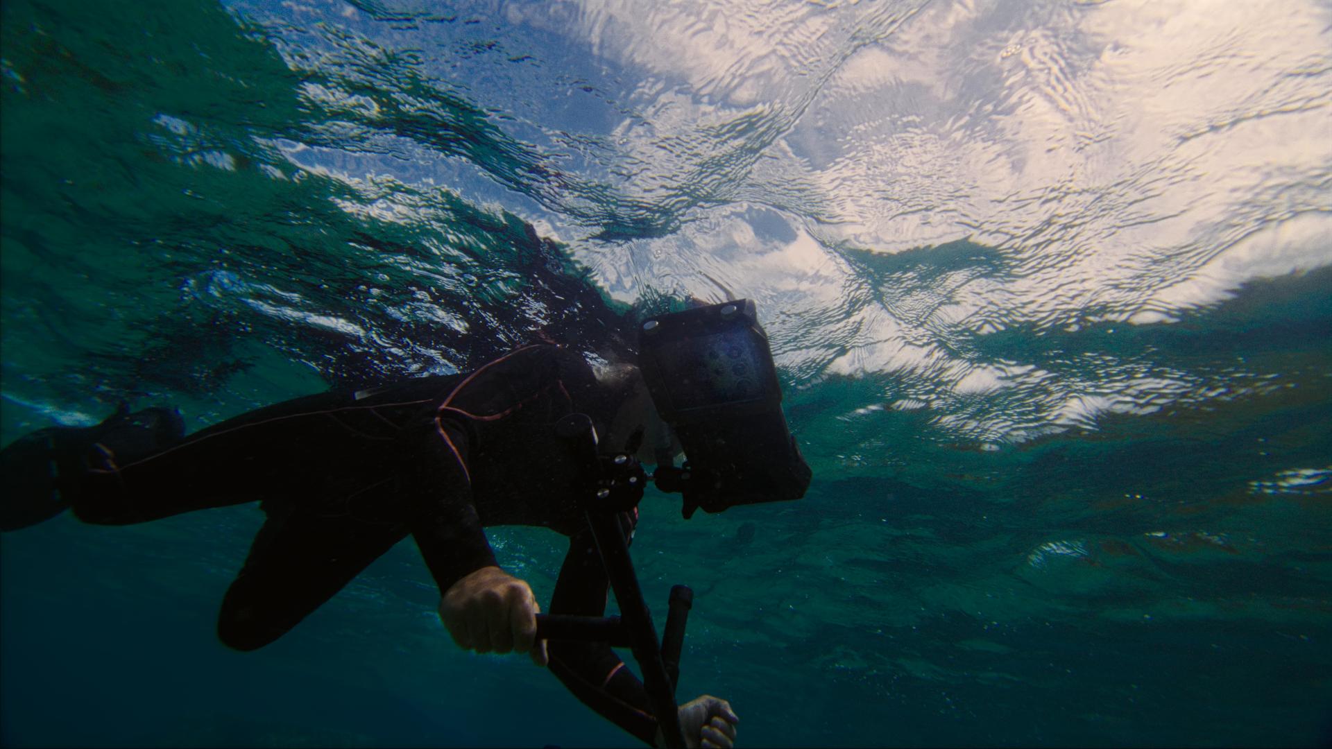 Dietro le quinte sott'acqua: quello che c'è da sapere sulla videografia subacquea Immersione nel mondo della cinematografia subacquea: come un sommozzatore filma sott'acqua