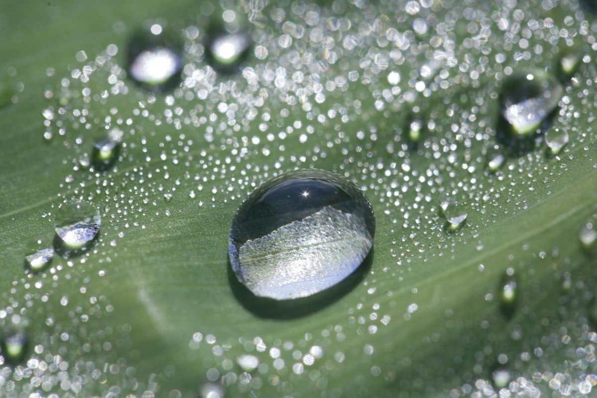 Gli scienziati hanno filmato il processo di formazione dell'acqua utilizzando la nanotecnologia Gli scienziati hanno filmato il processo di formazione dell'acqua utilizzando la nanotecnologia