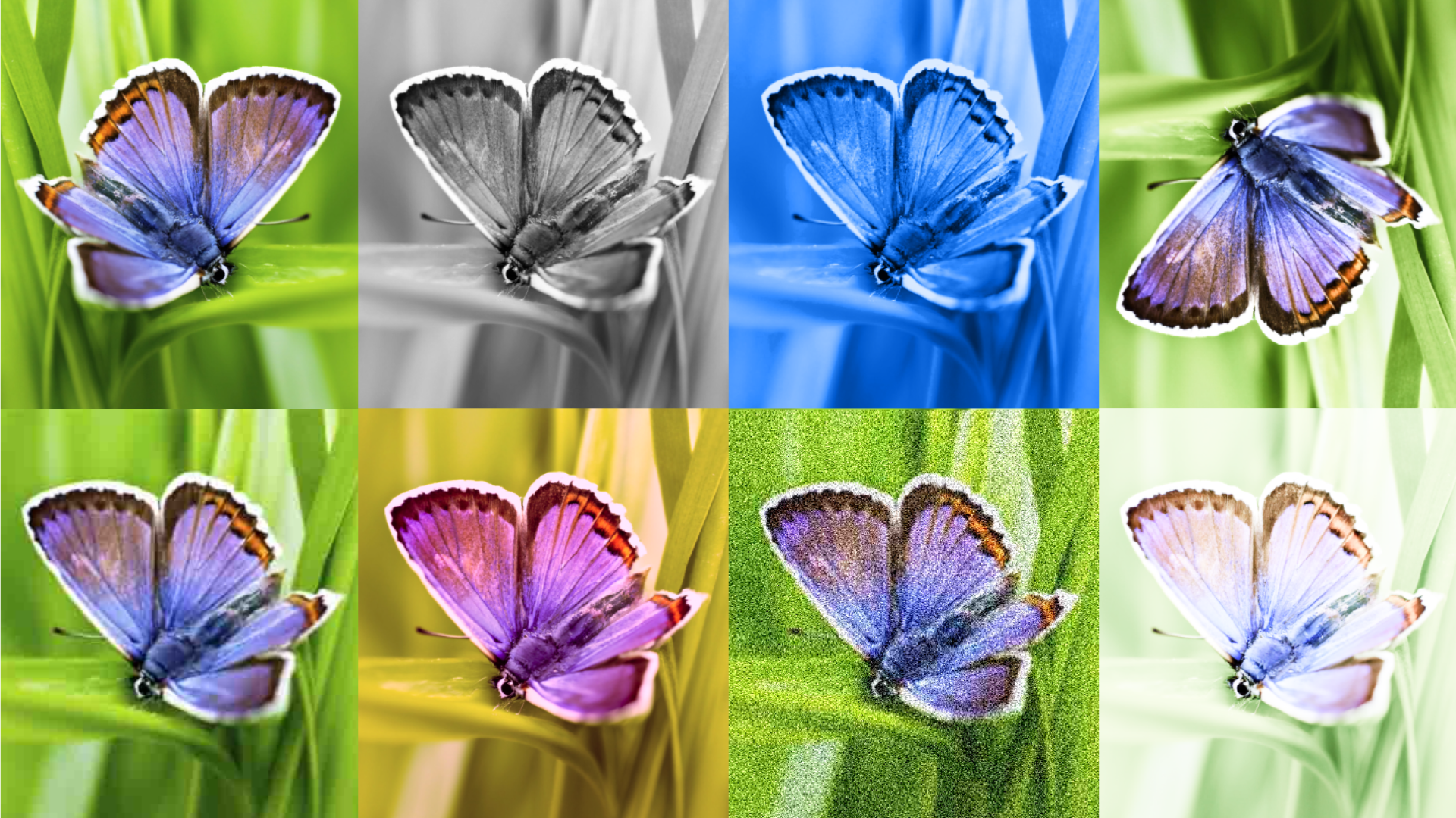Google DeepMind ha sviluppato una tecnologia per applicare filigrane invisibili alle immagini generate dall'intelligenza artificiale Google DeepMind ha sviluppato una tecnologia per applicare filigrane invisibili alle immagini generate dall'intelligenza artificiale