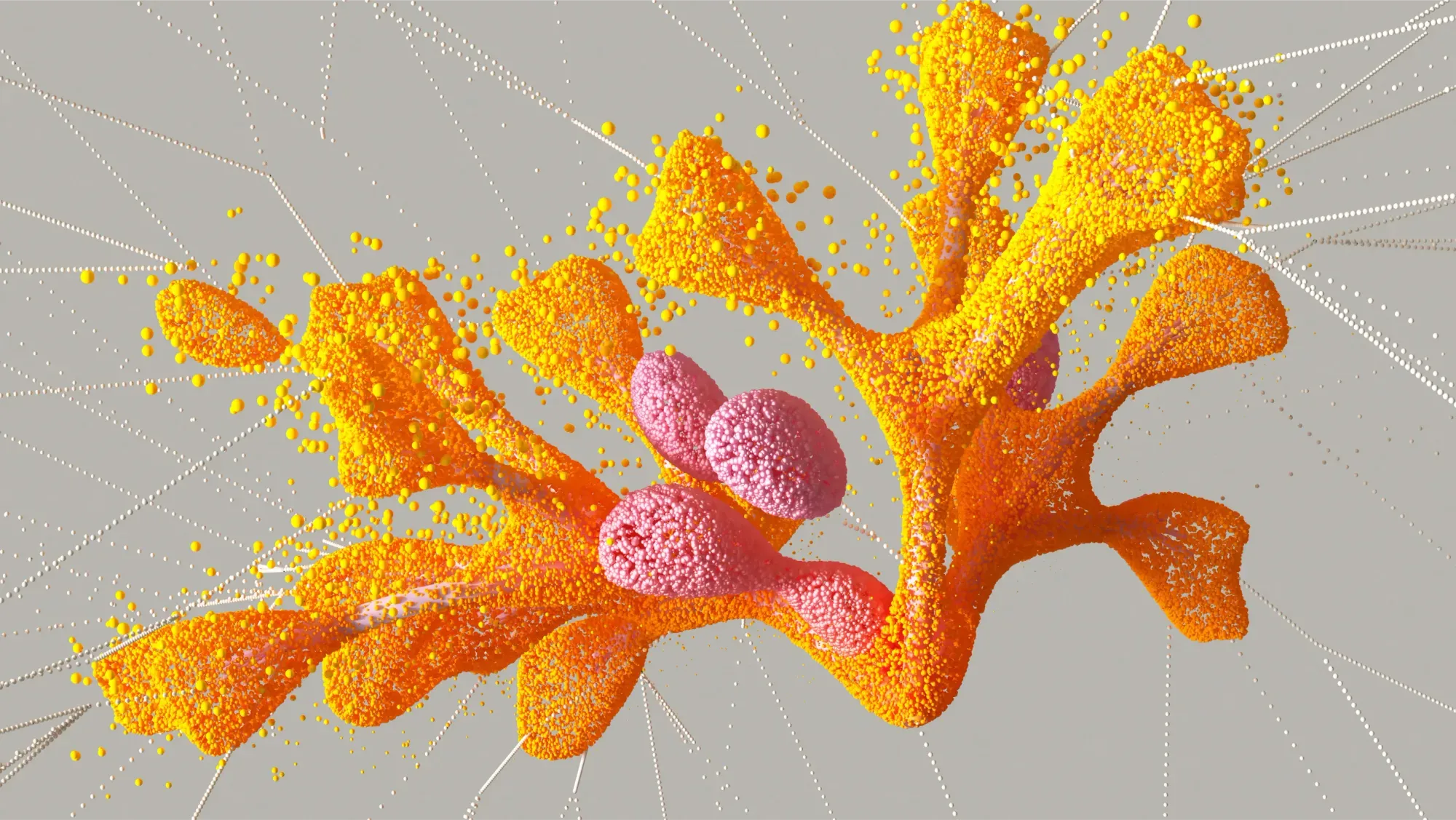 DeepMind ha creato un algoritmo AI chiamato AlphaMissense per prevedere le malattie dalle mutazioni genetiche DeepMind ha creato un algoritmo AI chiamato AlphaMissense per prevedere le malattie dalle mutazioni genetiche