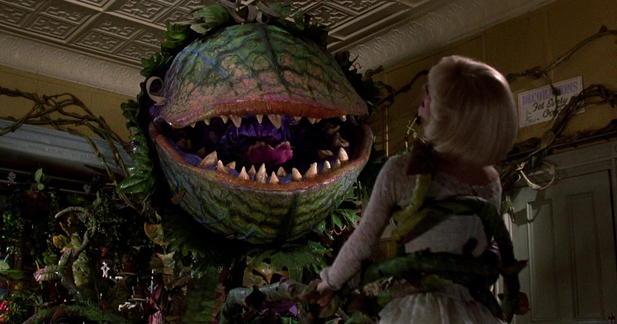 Il regista dell'iconico "Gremlins", Joe Dante, dirigerà un reboot della commedia horror "La piccola bottega degli orrori". Il regista dell'iconico "Gremlins", Joe Dante, dirigerà un reboot della commedia horror "La piccola bottega degli orrori".