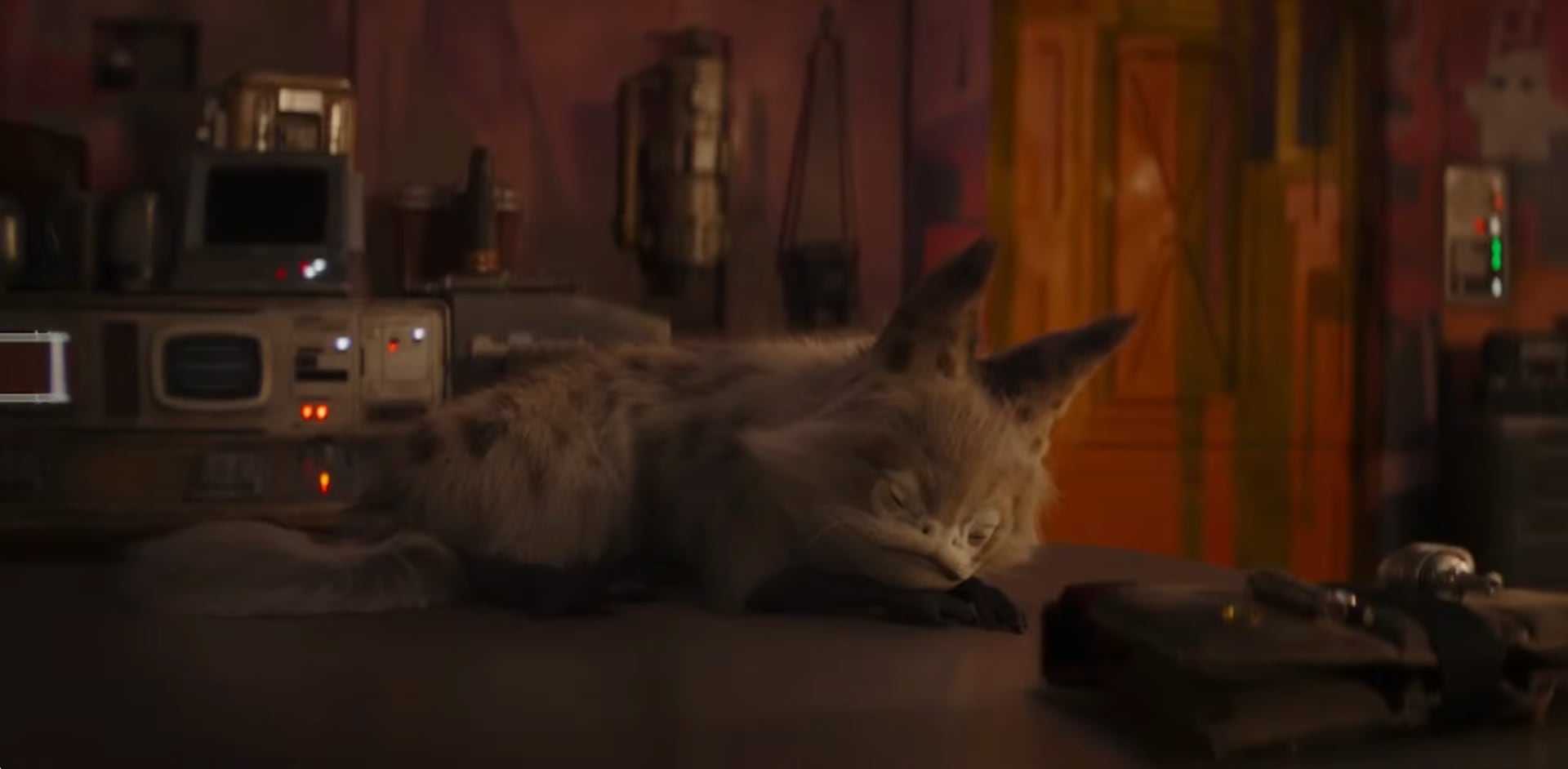 La Disney ha pubblicato un video di 12 ore del sonno del gatto nero di Sabine Wren, che ha raccolto 200.000 visualizzazioni La Disney ha pubblicato un video di 12 ore del sonno del gatto nero di Sabine Wren, che ha raccolto 200.000 visualizzazioni