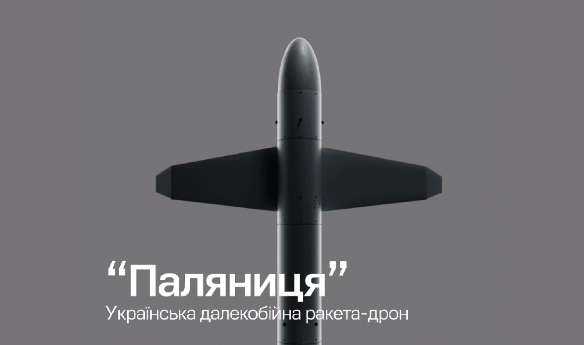 Volodymyr Zelensky ha mostrato l'aspetto e rivelato alcuni dettagli del drone-missile ucraino "Palyanitsya". Volodymyr Zelensky ha mostrato l'aspetto e rivelato alcuni dettagli del drone-missile ucraino "Palyanitsya".