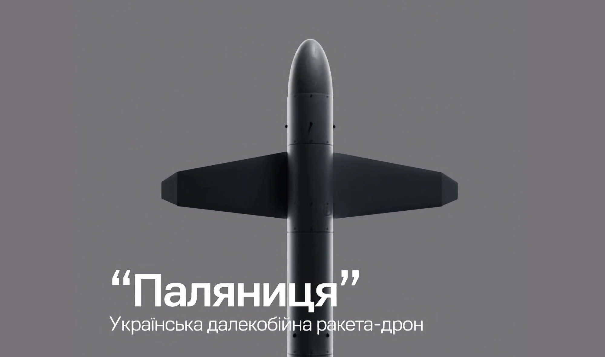 Il missile drone ucraino "Palianitsya" costa meno di 1 milione di dollari Il missile drone ucraino "Palianitsya" costa meno di 1 milione di dollari