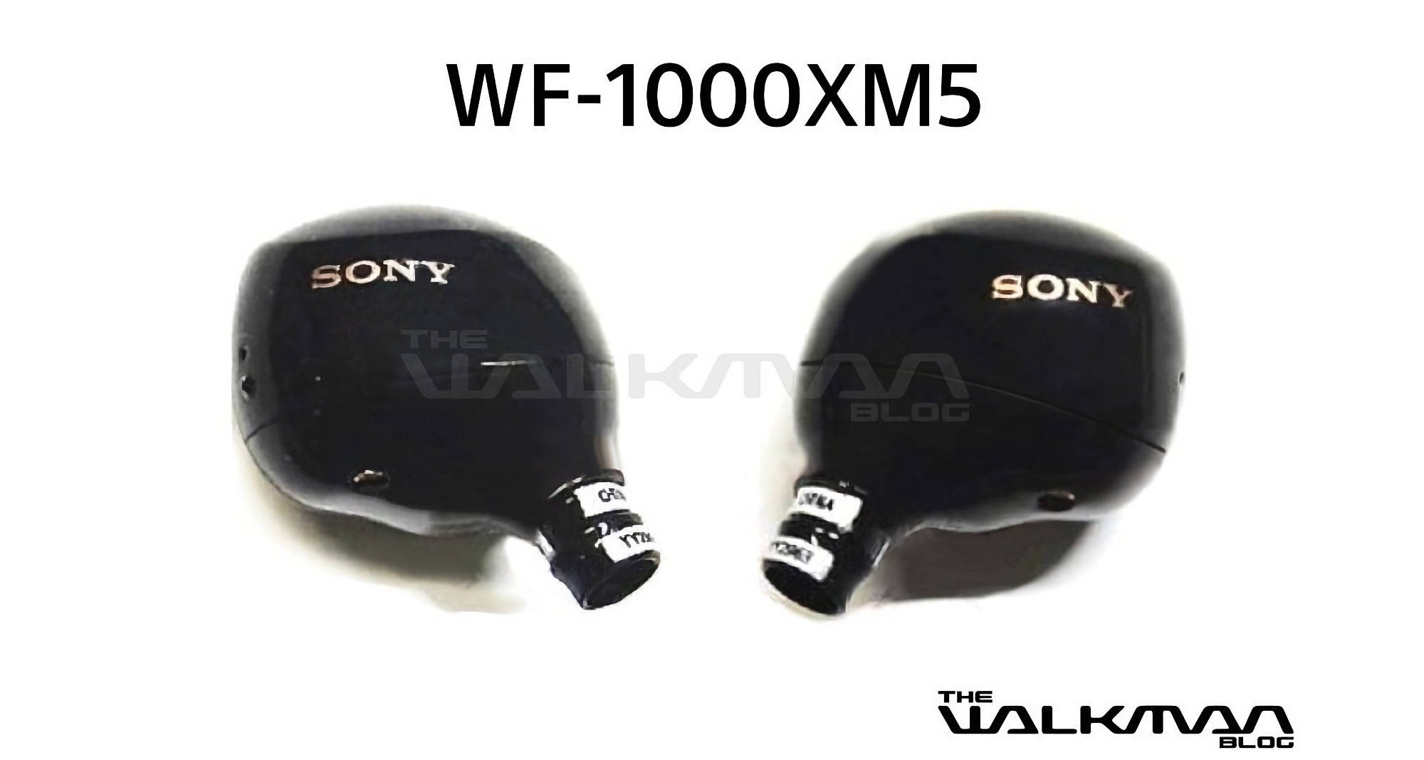 Sono apparse online le immagini delle Sony WF-1000XM5, le nuove cuffie TWS di punta dell'azienda. Sono apparse online le immagini delle Sony WF-1000XM5, le nuove cuffie TWS di punta dell'azienda.