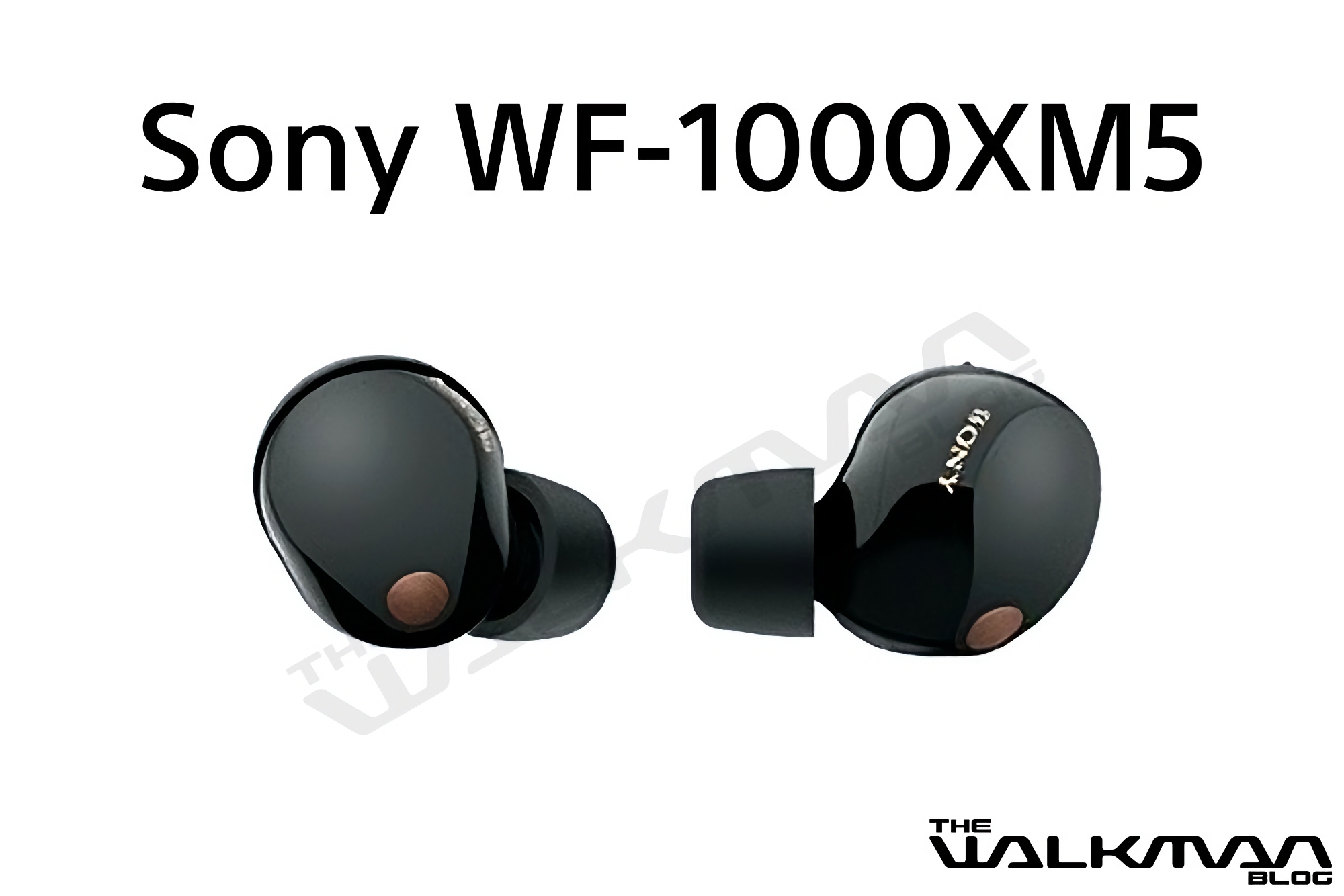 Le nuove cuffie di punta TWS WF-1000MX5 di Sony con ANC e durata della batteria fino a 24 ore Le nuove cuffie di punta TWS WF-1000MX5 di Sony con ANC e durata della batteria fino a 24 ore