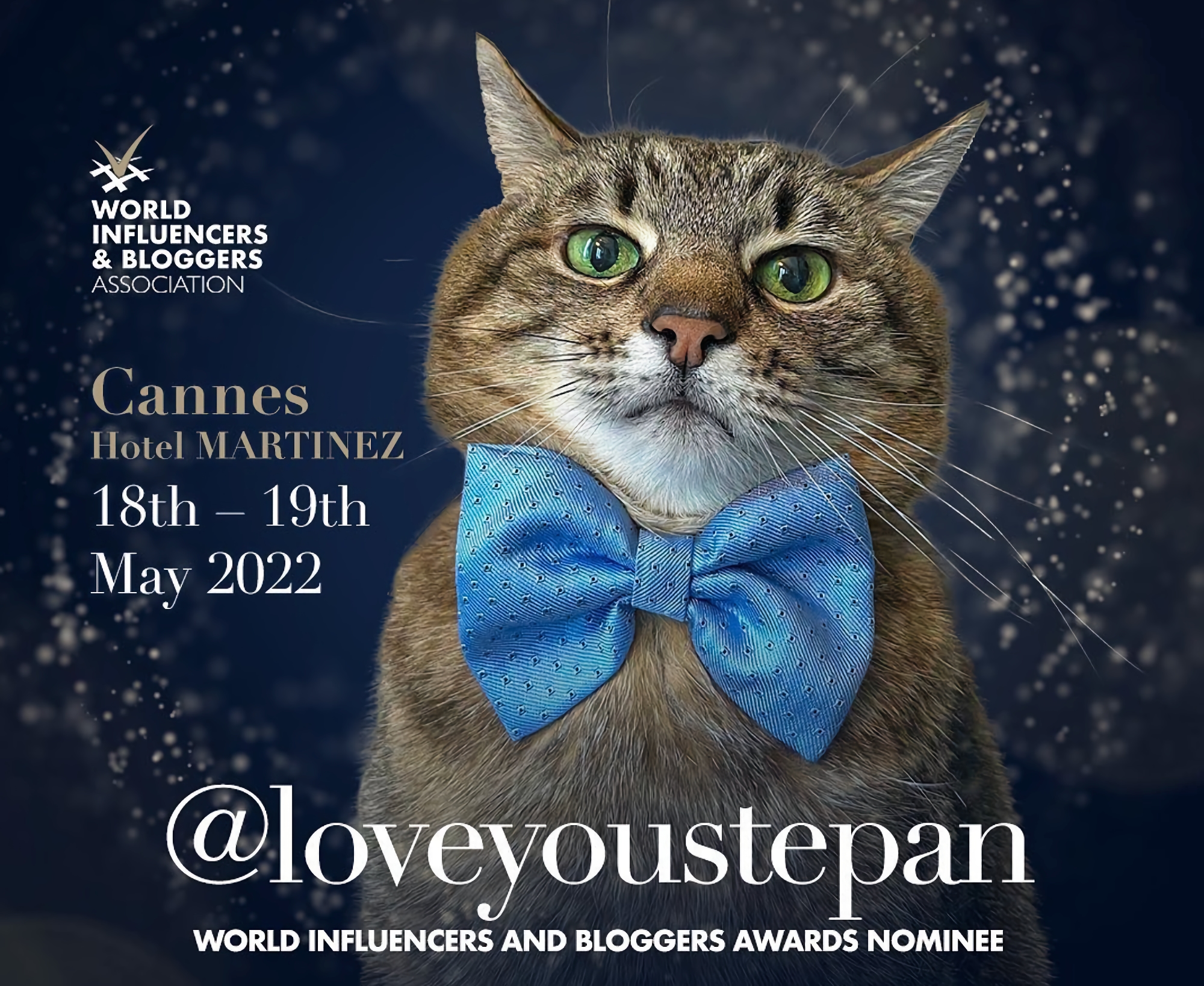 Cat Stepan potrebbe diventare il blogger più influente del 2022 Cat Stepan potrebbe diventare il blogger più influente del 2022
