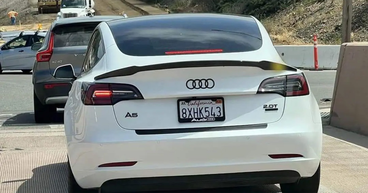 Tesla sotto copertura: A cosa serve camuffare le auto elettriche? Acrobazie stradali: Perché i proprietari di Tesla stanno cambiando il look delle loro auto elettriche