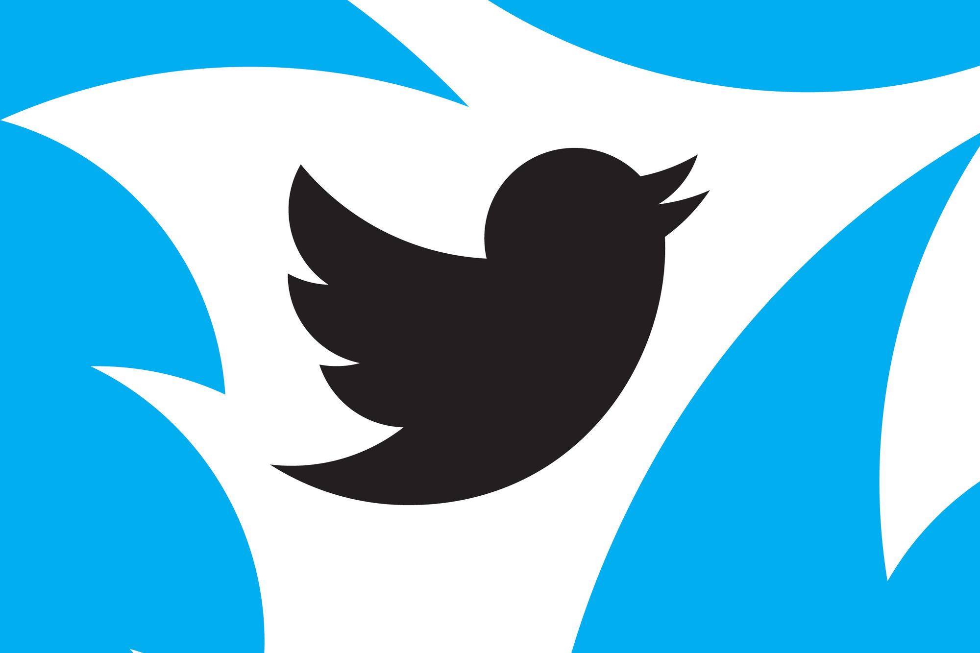Musk ha pagato gli abbonamenti a Twitter Blue di LeBron James, Stephen King e William Shatner Musk ha pagato gli abbonamenti a Twitter Blue di LeBron James, Stephen King e William Shatner