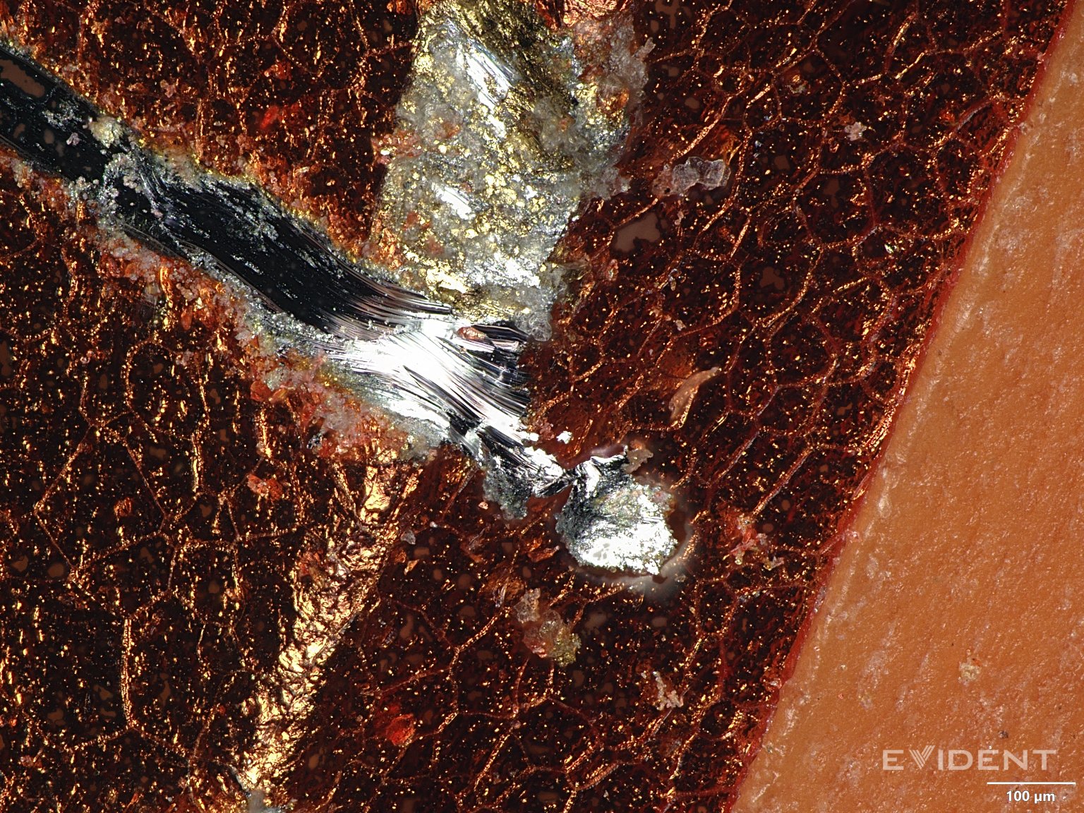 Segreti dell'iPhone 17 Pro al microscopio: cosa nasconde l'ultima tecnologia?