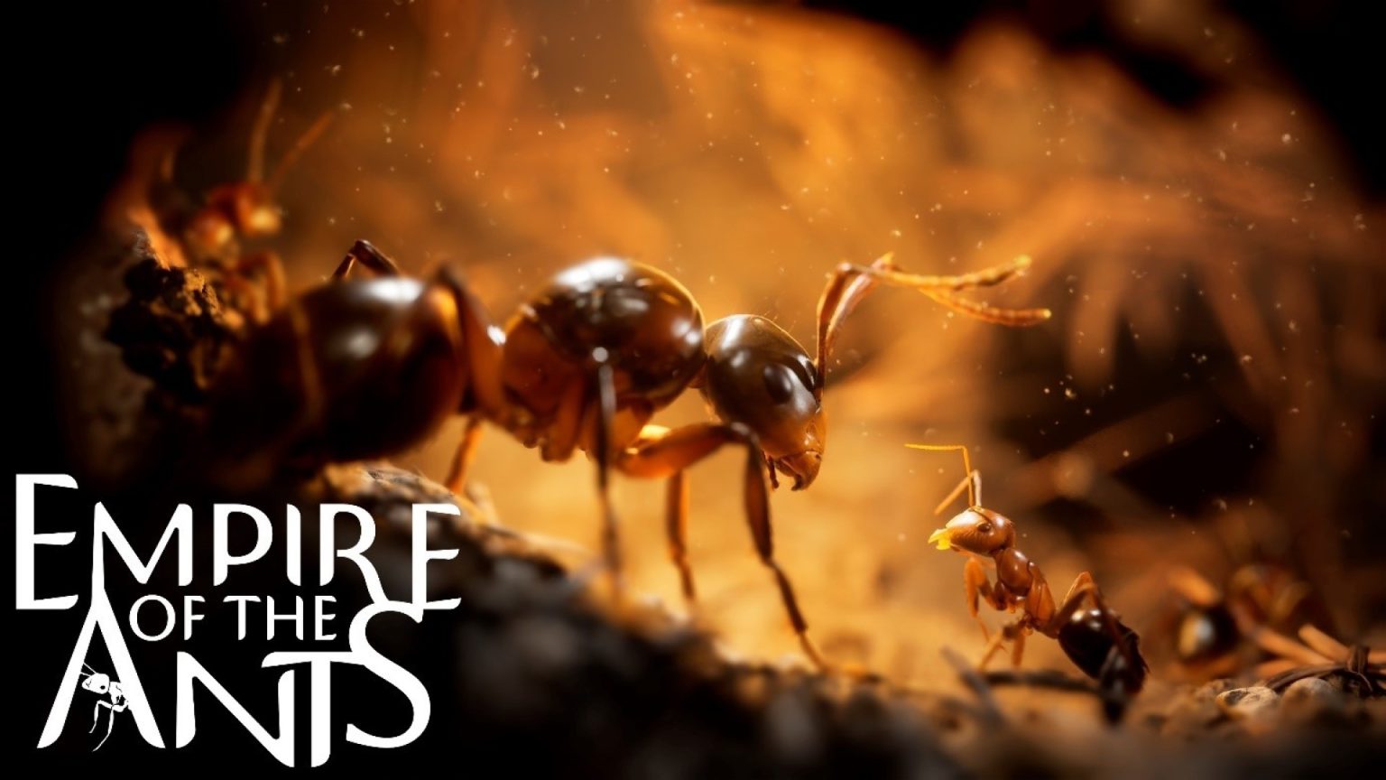 Empire of the Ants potrebbe arrivare su Switch 2: "è soprattutto una questione di fedeltà visiva" Empire of the Ants potrebbe arrivare su Switch 2: "è soprattutto una questione di fedeltà visiva"