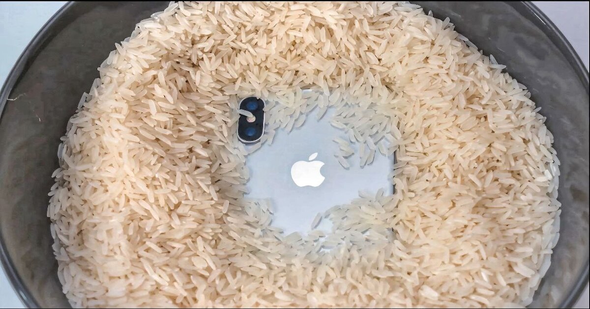 Apple invita gli utenti a non mettere gli iPhone bagnati nel riso Apple invita gli utenti a non mettere gli iPhone bagnati nel riso