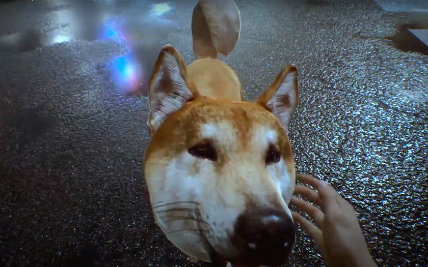 In Ghostwire: Tokyo, i giocatori possono dare da mangiare ai cani. Per questo, vengono forniti valuta di gioco e oggetti segreti. In Ghostwire: Tokyo, i giocatori possono dare da mangiare ai cani. Per questo, vengono forniti valuta di gioco e oggetti segreti.