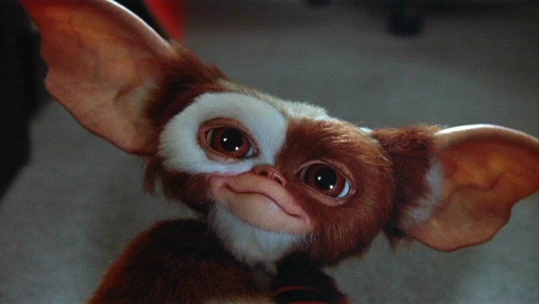 Gizmo di "Gremlins" sarà aggiunto a MultiVersus l'8 settembre Gizmo di "Gremlins" sarà aggiunto a MultiVersus l'8 settembre