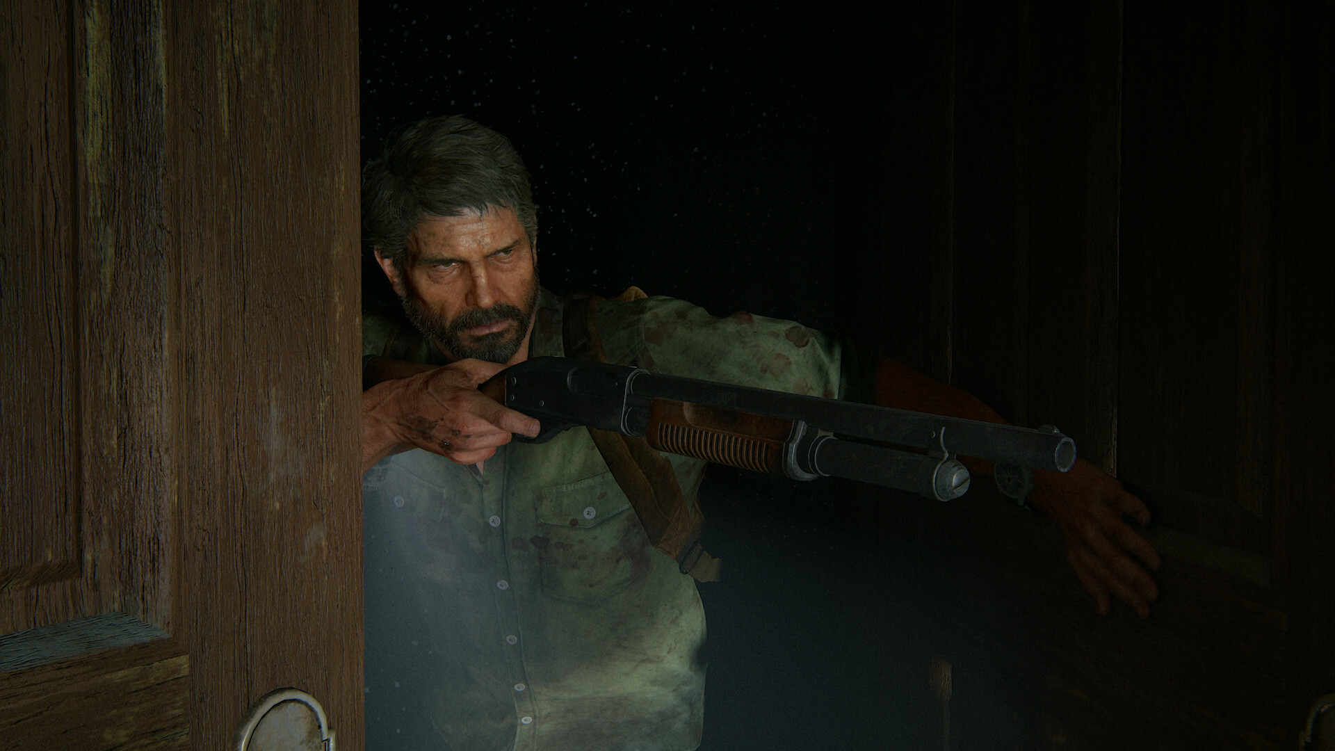 Un nuovo screenshot di The Last of Us 2 sorprende per realismo e dettagli Filmati incredibili: screenshot di The Last of Us 2