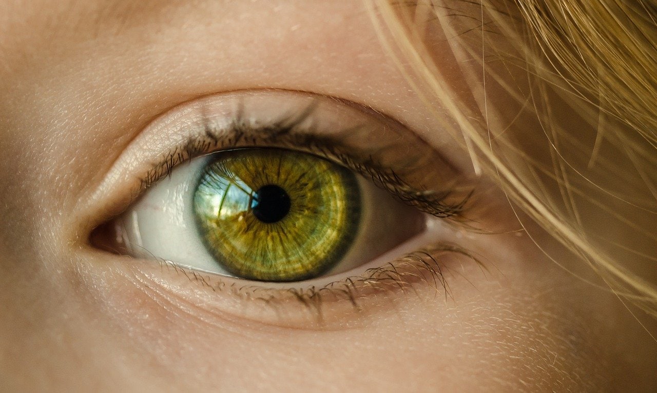 Sconfitta la cecità: per la prima volta nella storia gli scienziati hanno ripristinato completamente la vista dei pazienti con l'aiuto di un impianto Sconfitta la cecità: per la prima volta nella storia gli scienziati hanno ripristinato completamente la vista dei pazienti con l'aiuto di un impianto