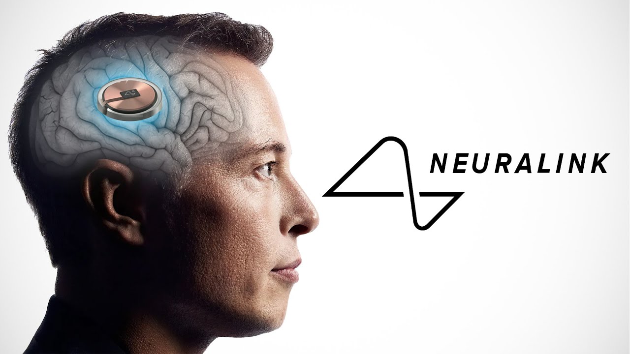 Non è morta nemmeno una scimmia - Musk sostiene la sicurezza degli impianti cerebrali Neuralink Non è morta nemmeno una scimmia - Musk sostiene la sicurezza degli impianti cerebrali Neuralink