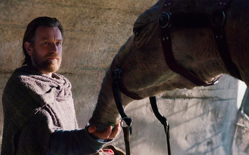 "Possiamo lasciare il cammello in giardino?" Durante le riprese di "Obi-Wan Kenobi" Ewan McGregor si è affezionato al cammello e ha voluto portarlo via "Possiamo lasciare il cammello in giardino?" Durante le riprese di "Obi-Wan Kenobi" Ewan McGregor si è affezionato al cammello e ha voluto portarlo via