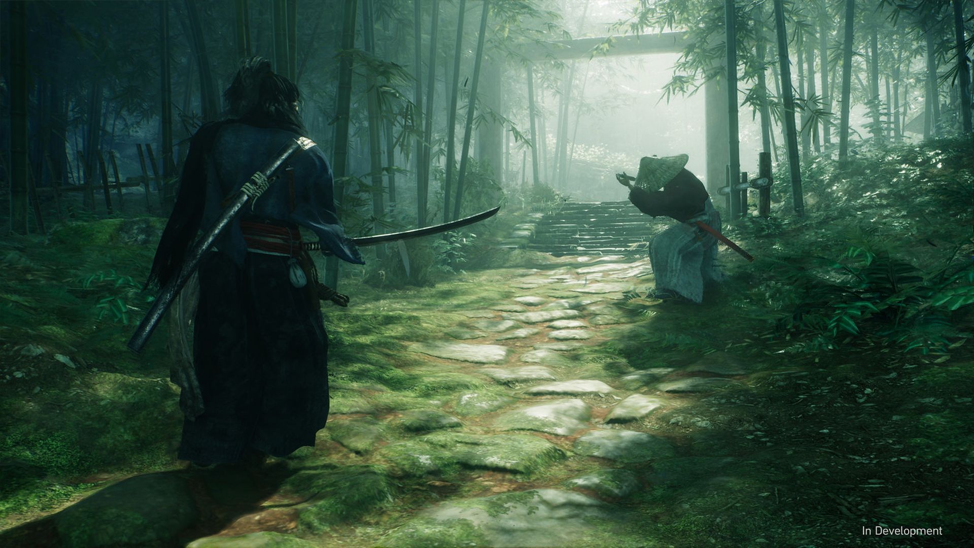 Rise of the Ronin supporterà il gioco online per un massimo di quattro giocatori Rise of the Ronin supporterà il gioco online per un massimo di quattro giocatori