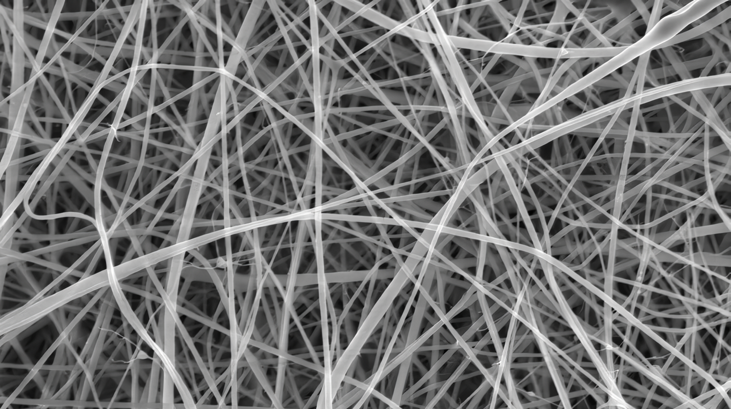 In profondità nel microcosmo: cos'è la "nanopasta" e perché è importante? "Nanopaste": guardiamo al microscopio