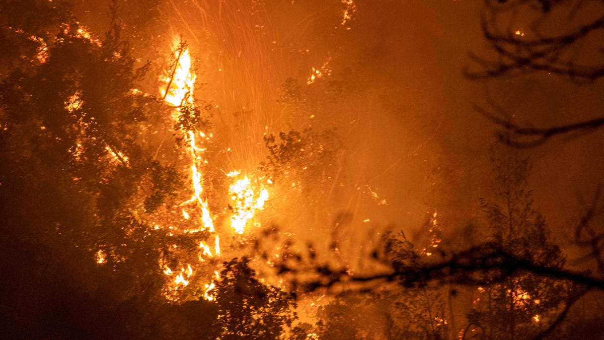 Gli incendi stanno alimentando un pericoloso ciclo di feedback del riscaldamento artico Gli incendi stanno alimentando un pericoloso ciclo di feedback del riscaldamento artico