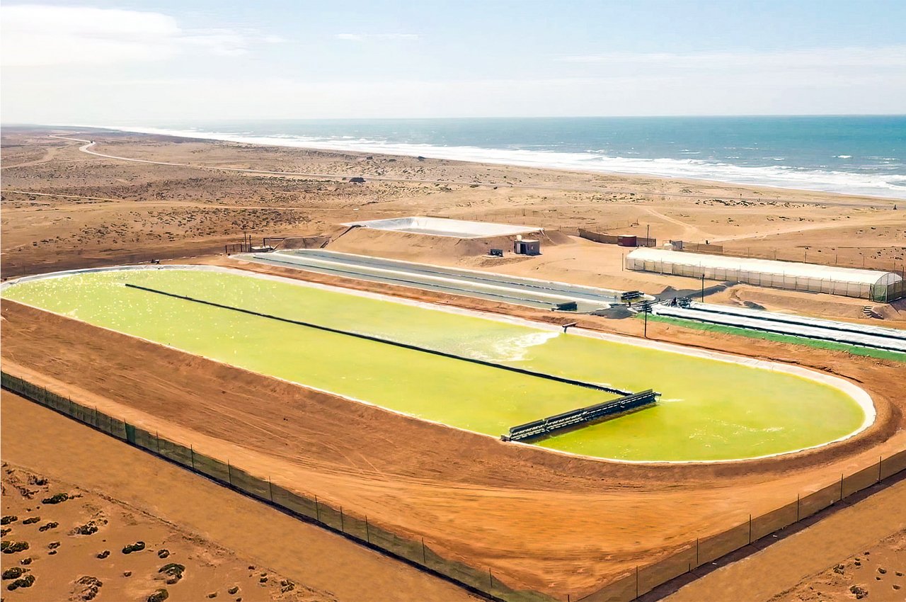 Il più grande bacino di crescita delle alghe del mondo utilizza la tecnologia basata sulla natura per catturare le emissioni di CO2 Il più grande bacino di crescita delle alghe del mondo utilizza la tecnologia basata sulla natura per catturare le emissioni di CO2