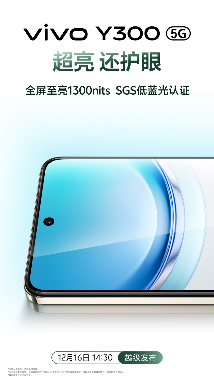 Design e schermo dello smartphone Vivo Y300 Design e schermo dello smartphone Vivo Y300