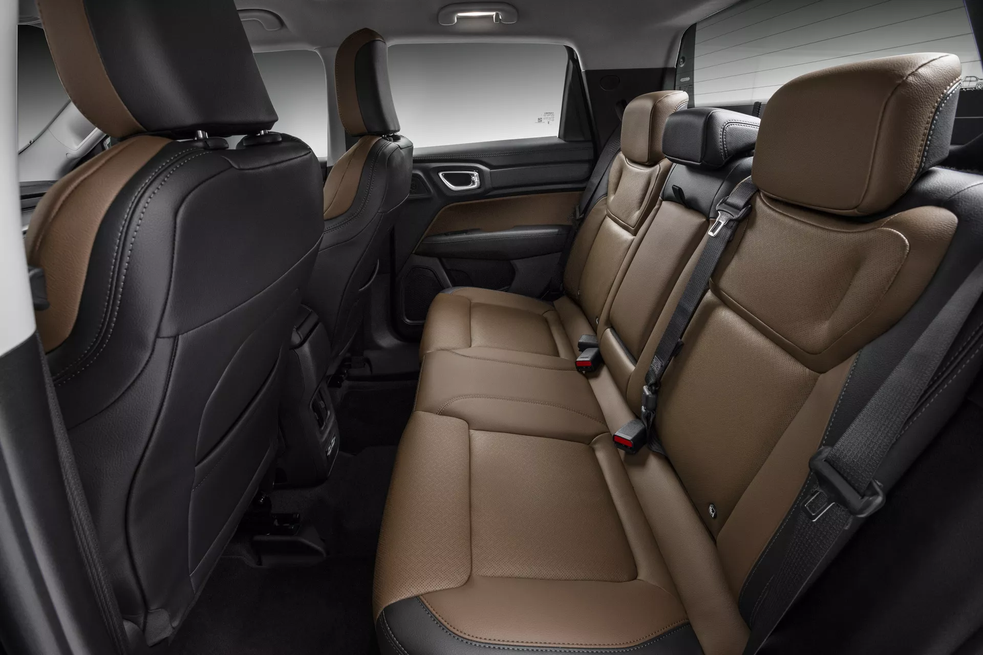 Ram Rampage nel parco