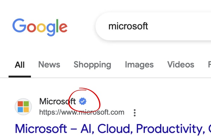 Google sta testando una funzione di verifica dei siti che aiuterà a eliminare le conversioni verso pagine false-2 Google sta testando una funzione di verifica dei siti che aiuterà a eliminare le conversioni verso pagine false-2