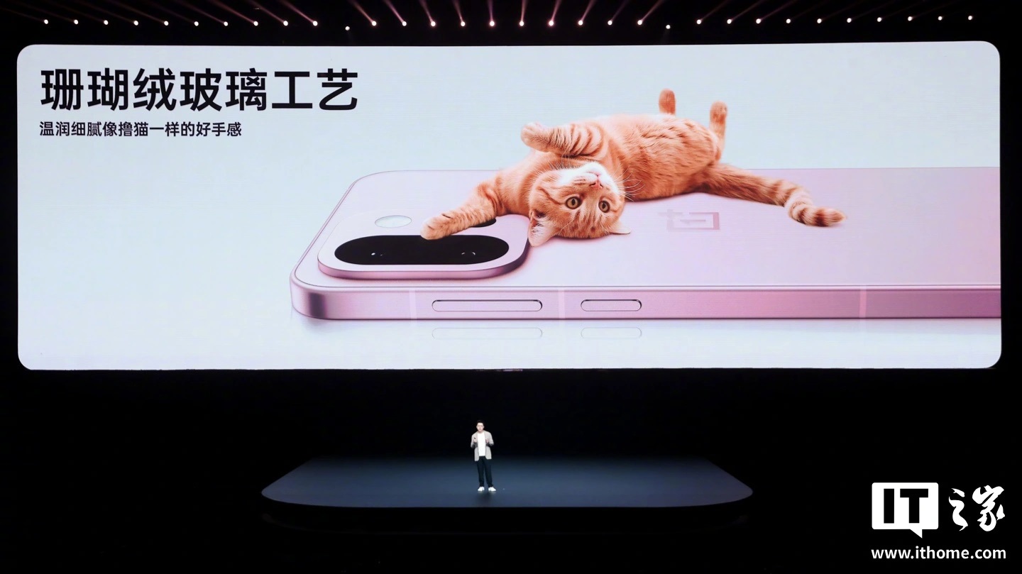 Design dello smartphone OnePlus 13T Design dello smartphone OnePlus 13T