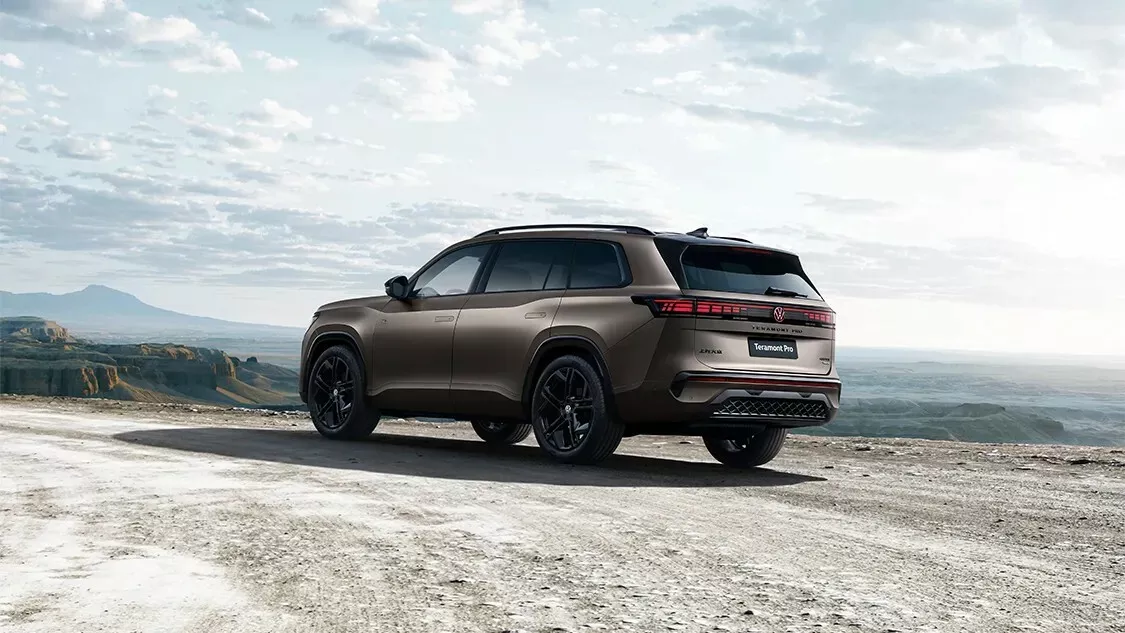 Volkswagen Teramont Pro - vista posteriore