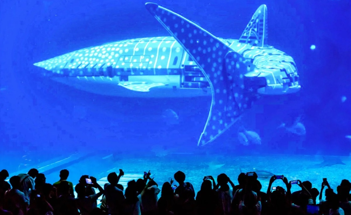 Ridateci i soldi! I visitatori di un oceanario cinese si sono indignati per aver visto uno squalo robotico invece di un gigante marino vivo Ridateci i soldi! I visitatori di un oceanario cinese si sono indignati per aver visto uno squalo robotico invece di un gigante marino vivo