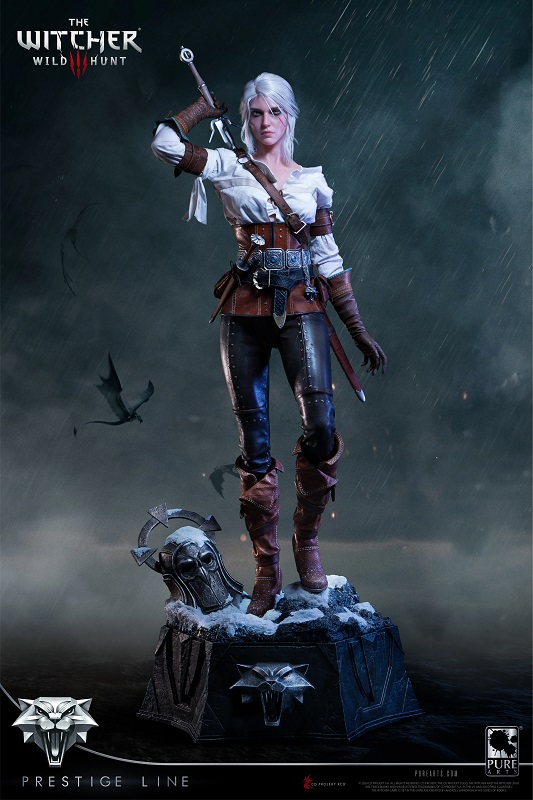 Ciri con i dettagli Ciri con i dettagli