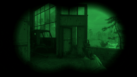 Grafica di S.T.A.L.K.E.R. 2 nell'oscurità