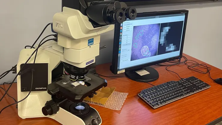 Google e il Pentagono hanno sviluppato un microscopio basato sull'intelligenza artificiale per la diagnosi del cancro-2 Google e il Pentagono hanno sviluppato un microscopio basato sull'intelligenza artificiale per la diagnosi del cancro-2