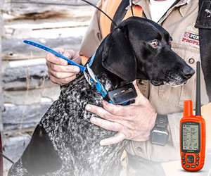 Recensione del pacchetto di monitoraggio del cane Garmin Astro 430/T 5