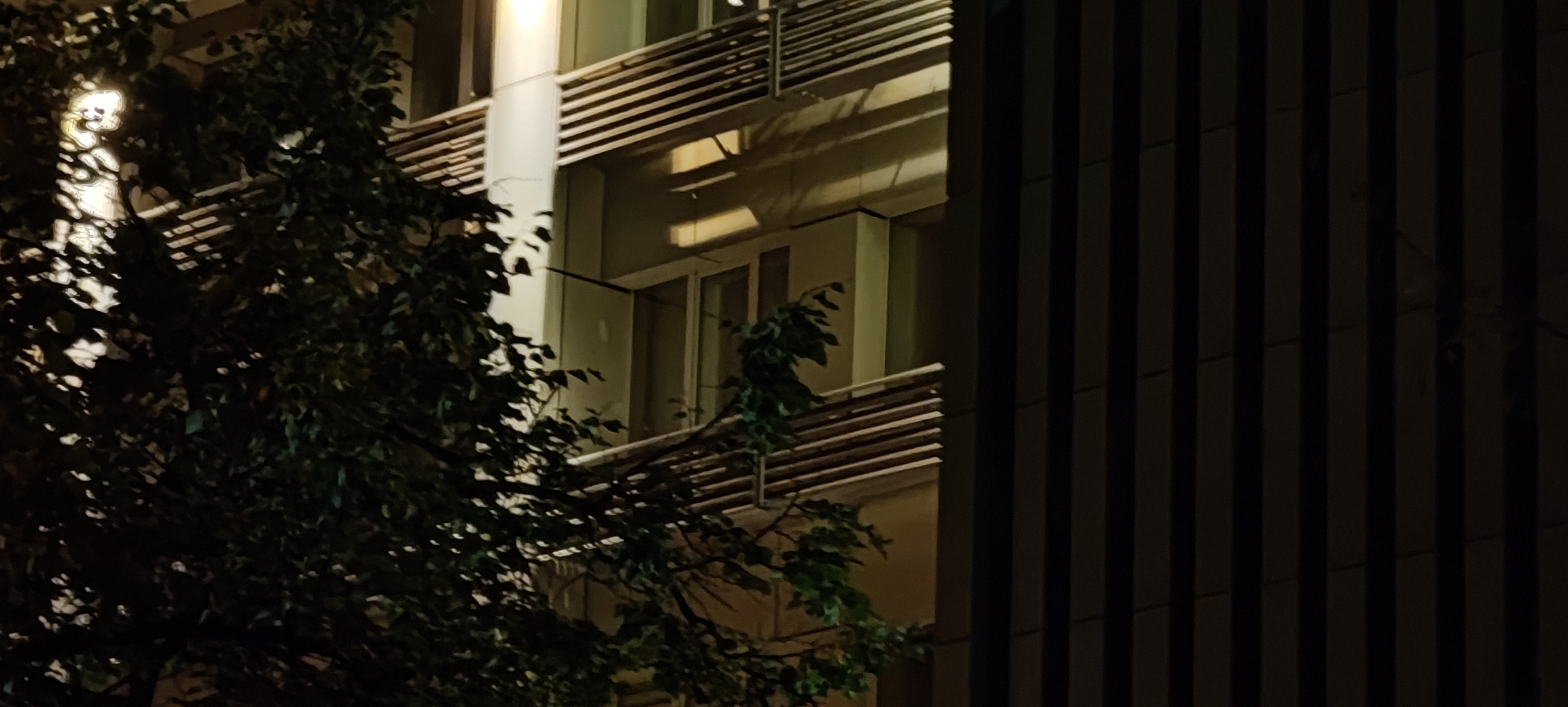Xiaomi MIX 4 con i miei occhi: una fotocamera frontale sotto lo schermo che davvero non si vede-100 Xiaomi MIX 4 con i miei occhi: una fotocamera frontale sotto lo schermo che davvero non si vede-100
