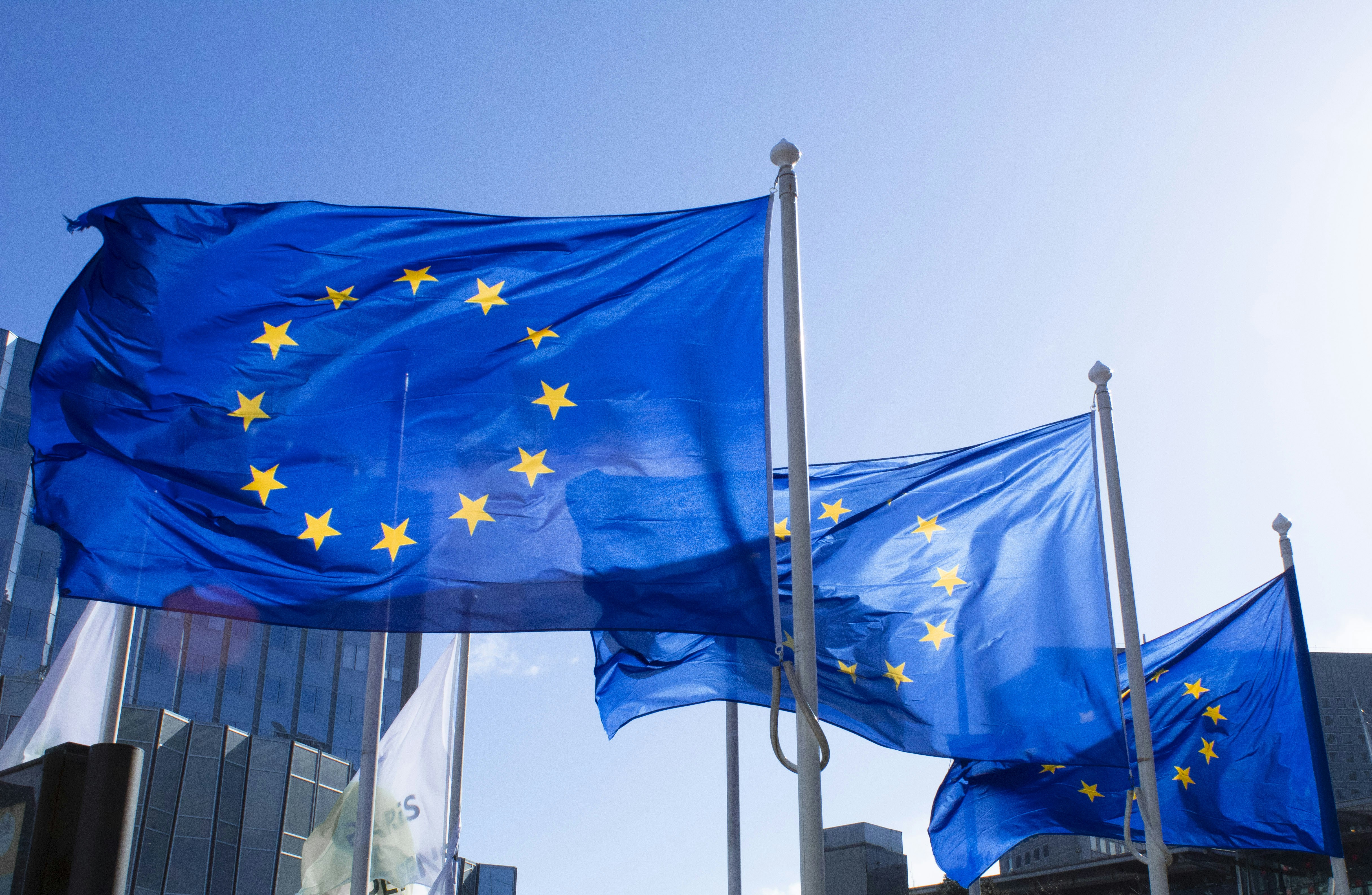 Ai giganti tecnologici viene ordinato di etichettare i contenuti generati dall'intelligenza artificiale in vista delle elezioni europee Ai giganti tecnologici viene ordinato di etichettare i contenuti generati dall'intelligenza artificiale in vista delle elezioni europee
