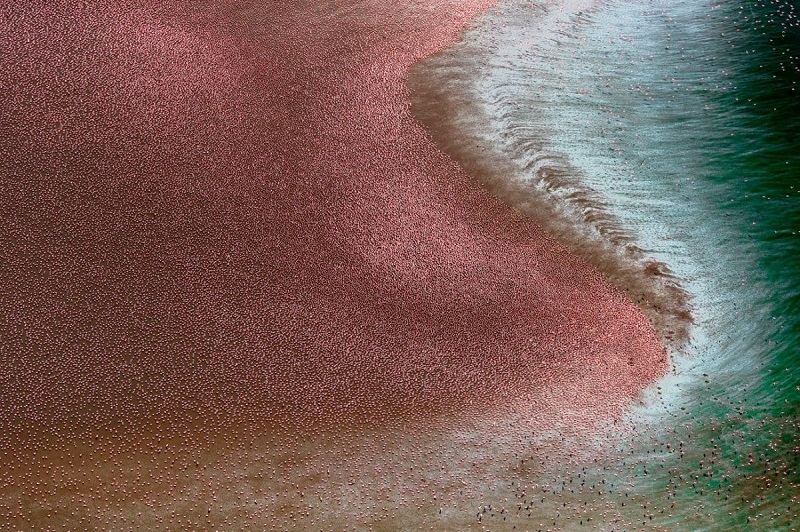 Il mondo attraverso gli occhi dei droni: ecco i migliori contributi dei Drone Photo Awards 2024-4 Il mondo attraverso gli occhi dei droni: ecco i migliori contributi dei Drone Photo Awards 2024-4