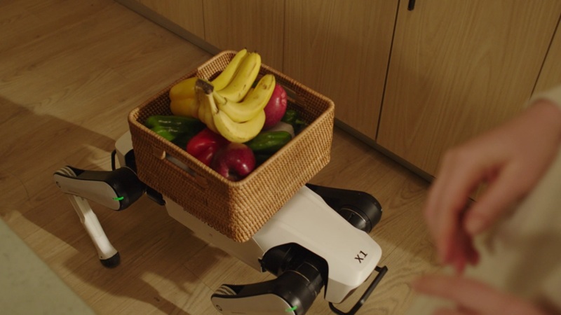 Rover X1 sulla strada