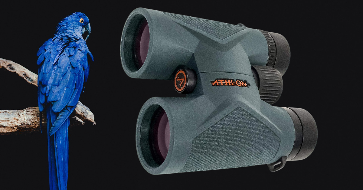 migliori binocoli compatti per birdwatching 2025 migliori binocoli compatti per birdwatching 2025