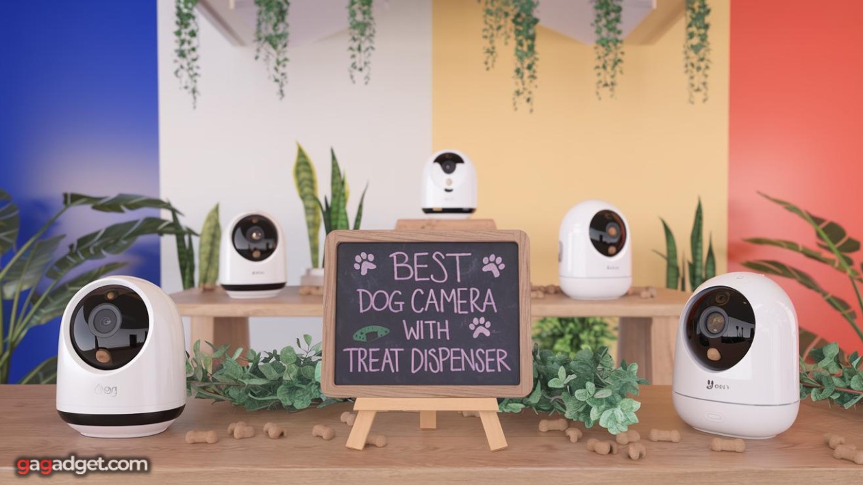 Migliore videocamera per cani con dispenser di snack Migliore videocamera per cani con dispenser di snack