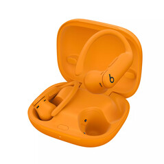 Custodia Powerbeats Pro 2