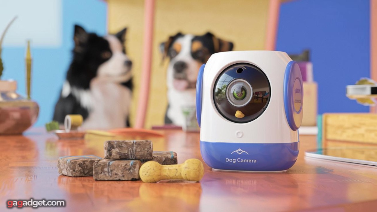 Videocamera di sorveglianza per cani con premi Videocamera di sorveglianza per cani con premi