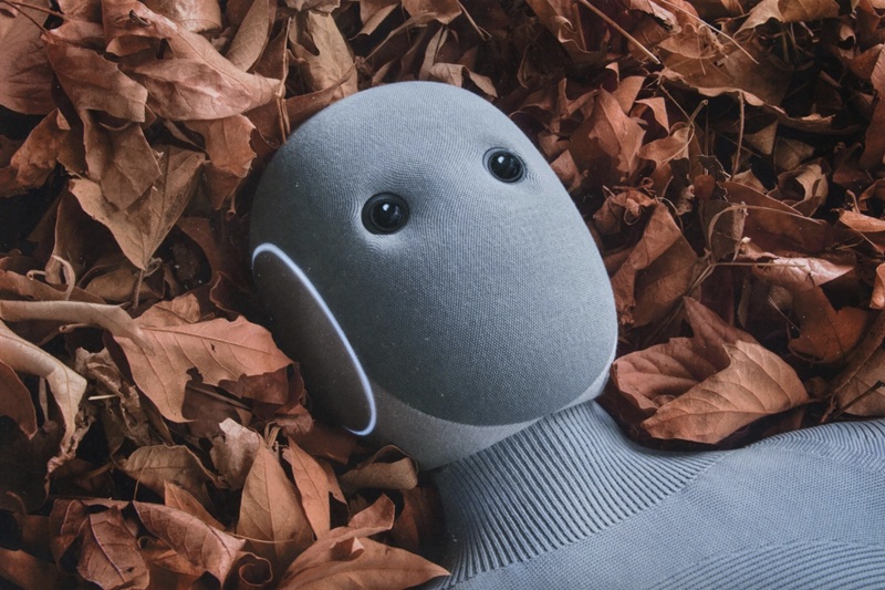 NEO Home Robot nell'interior