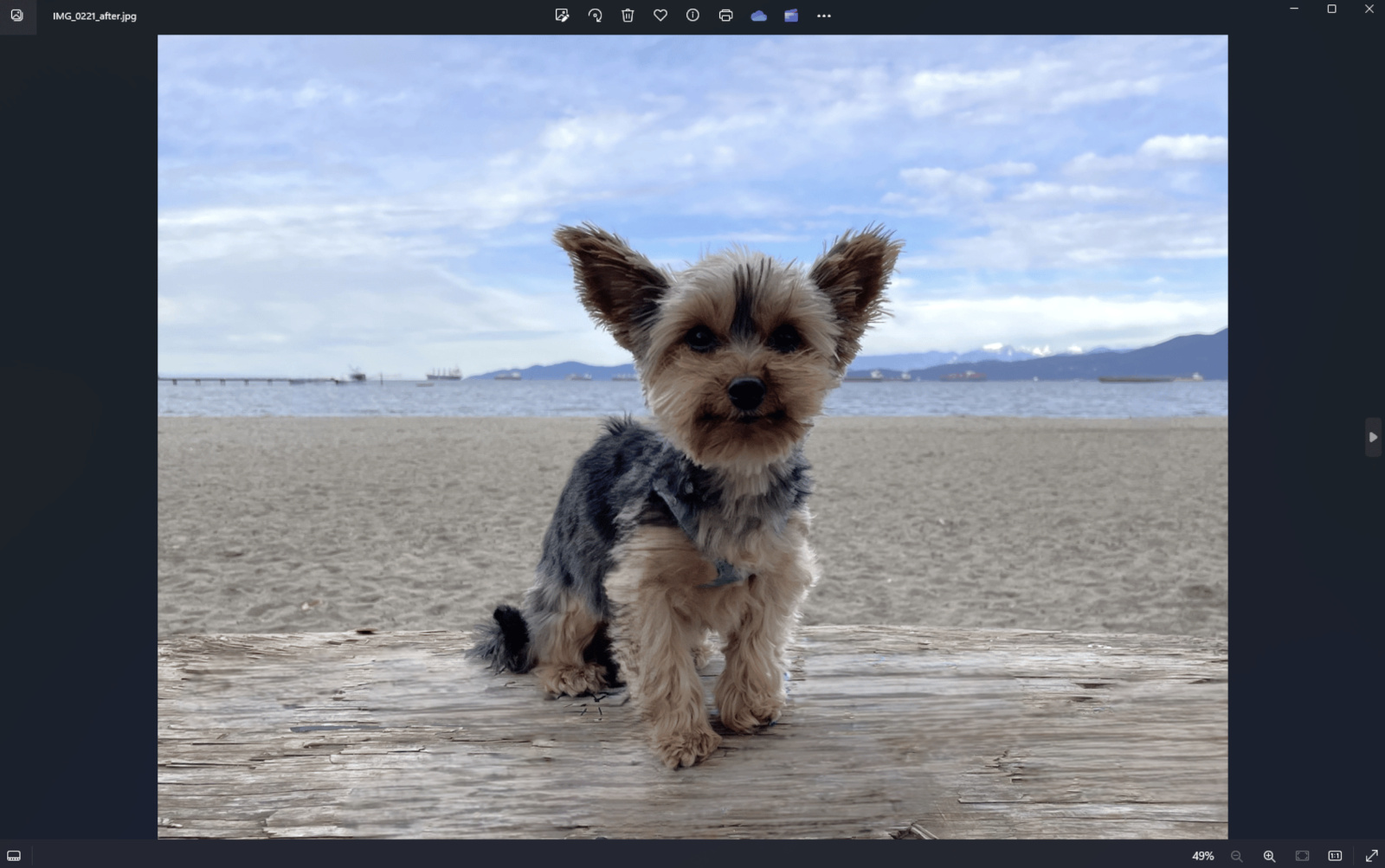 Microsoft aggiunge all'app Windows Photos uno strumento di cancellazione generativa degli oggetti alimentato dall'intelligenza artificiale-2 Microsoft aggiunge all'app Windows Photos uno strumento di cancellazione generativa degli oggetti alimentato dall'intelligenza artificiale-2